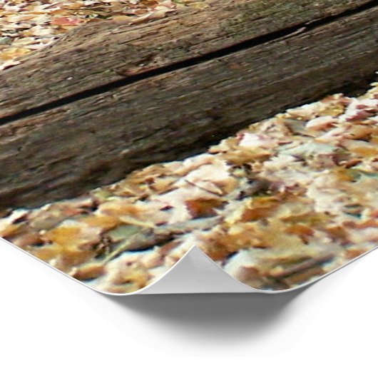 Holzfenster Poster (Ecke)