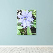 Holzflüster Leinwanddruck (Insitu (Holzboden))