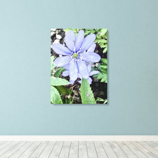 Holzflüster Leinwanddruck (Insitu (Holzboden))