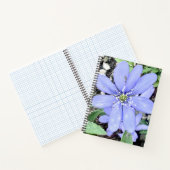 Holzflüster - lila Wildblume in der Quelle Notizblock (Innenseite)