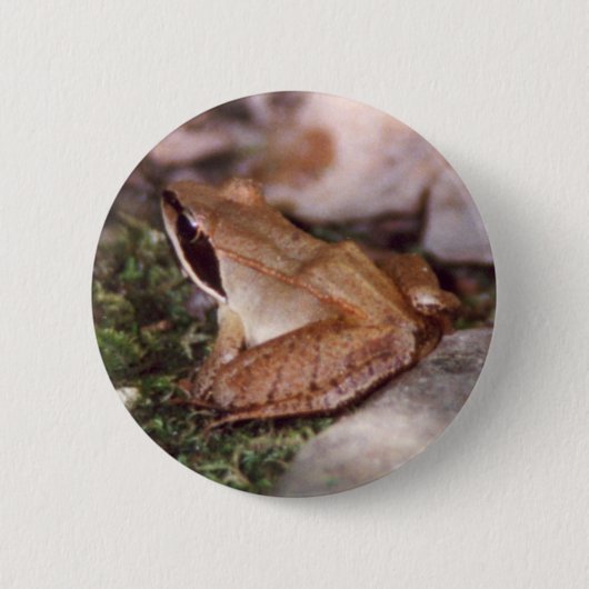 Holzfrosch Button (Vorderseite)