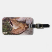 Holzfrosch Gepäckanhänger (Vorderseite horizontal)