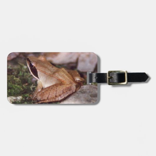 Holzfrosch Gepäckanhänger (Vorderseite horizontal)