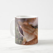 Holzfrosch Kaffeetasse (Vorderseite Links)