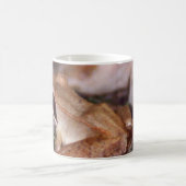 Holzfrosch Kaffeetasse (Mittel)
