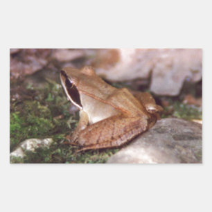 Holzfrosch Rechteckiger Aufkleber