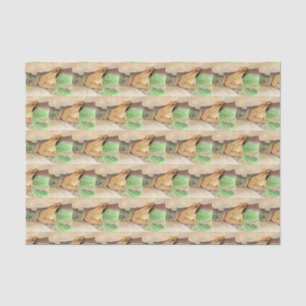 Holzfrosch Seidenpapier
