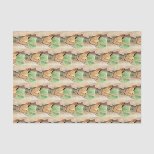 Holzfrosch Seidenpapier (Vorderseite)