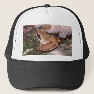 Holzfrosch Truckerkappe