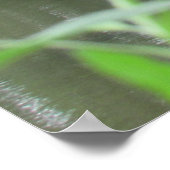 Holzfußbrücke Poster (Ecke)