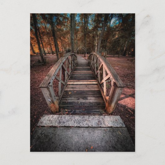 Holzfußgängerbrücke mit Waldweg Postkarte (Vorderseite)