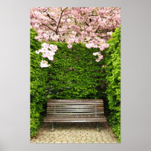 Holzgartenbank im Park in Brüssel Poster