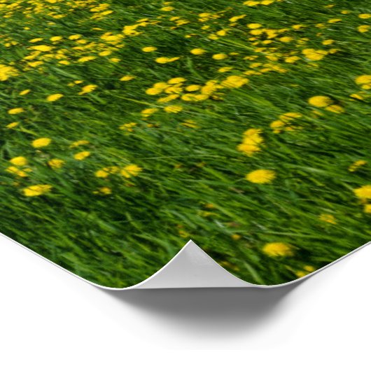 Holzgates Poster (Ecke)