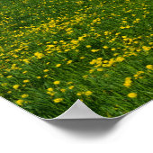 Holzgates Poster (Ecke)