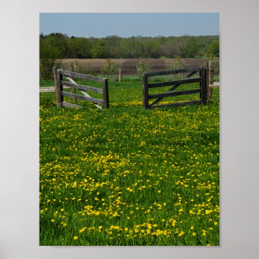 Holzgates Poster (Vorne)