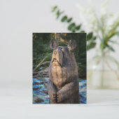 HOLZGESCHNITZTE BÄR POSTKARTE (Stehend Vorderseite)