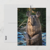 HOLZGESCHNITZTE BÄR POSTKARTE (Vorne/Hinten)