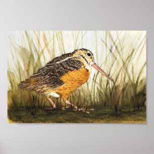 Holzhaken (Timberdoodle) Poster