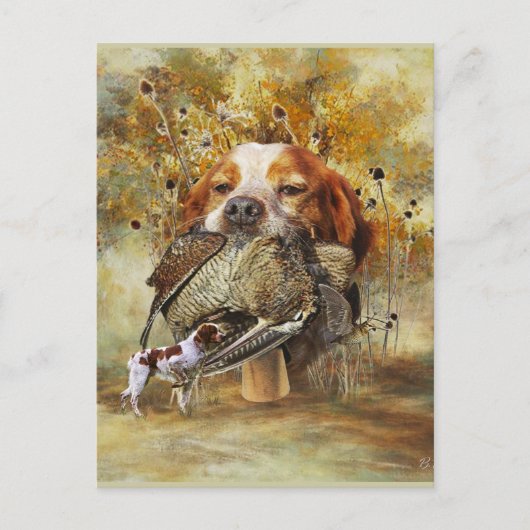 Holzjagd mit der Bretagne Spaniel Postkarte (Vorderseite)