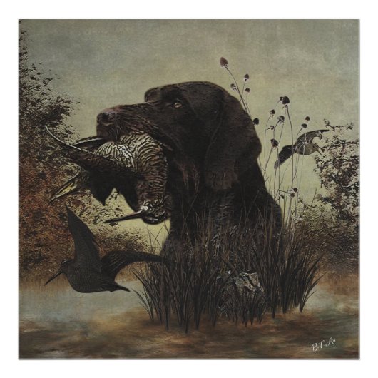 Holzjagd mit deutschem Drahthaar Pointer Fotodruck (Vorne)