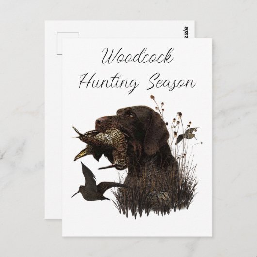 Holzjagd mit deutschem Drahthaar Pointer Postkarte (Vorne/Hinten)