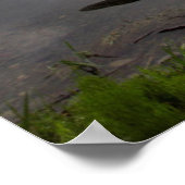 Holzkajak am Ufer des Bibersees Poster (Ecke)