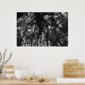 Holzkanopie 01 BW Poster (Küche)