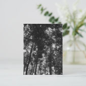 Holzkanopie 01 BW Postkarte (Stehend Vorderseite)