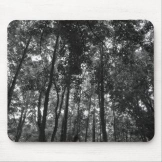 Holzkanopie 02 BW Mousepad