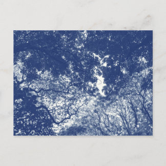 Holzkanopie (02) - Cyanotypeneffekt Postkarte