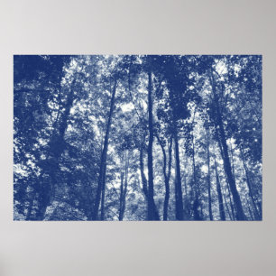Holzkanopie - Cyanotypeffekt Poster