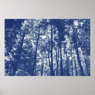 Holzkanopie - Cyanotypeffekt Poster