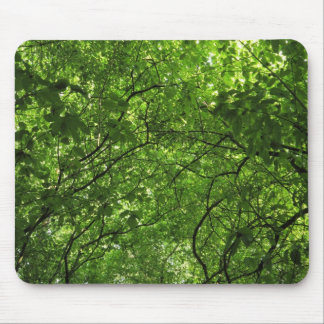 Holzkanopie Mousepad