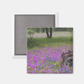 Holzkart im Feld Phlox, Blaue Bonnets mit Magnet (Vorderseite/Rückseite)