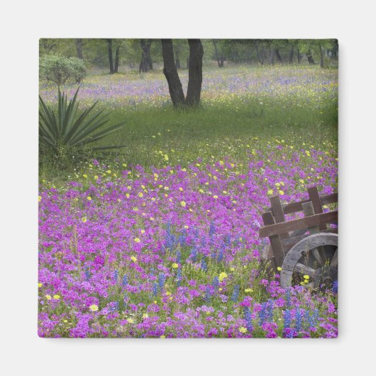 Holzkart im Feld Phlox, Blaue Bonnets mit Magnet (Vorne)
