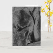 Holzkohle Ruka Karte (Gelbe Blume)