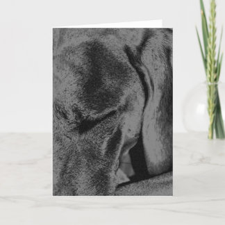 Holzkohle Ruka Karte