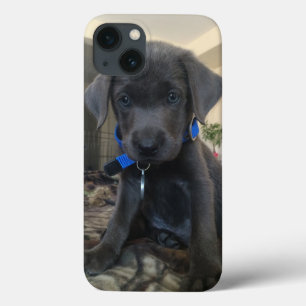 Holzkohlenlabrador-Fall Case-Mate iPhone Hülle