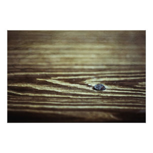 Holzkörnertextur von Shirley Taylor Fotodruck
