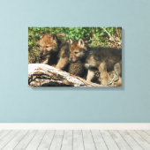 Holzkotelett Leinwanddruck (Insitu (Holzboden))