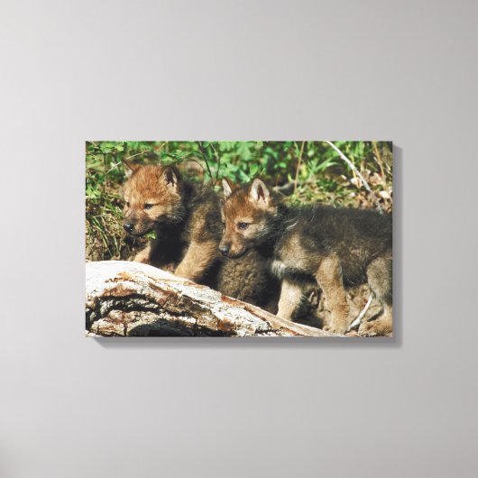 Holzkotelett Leinwanddruck (Vorderseite)