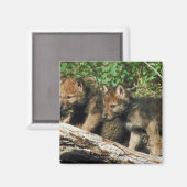 Holzkotelett Magnet (Vorderseite/Rückseite)