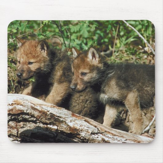 Holzkotelett Mousepad (Vorne)