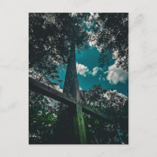 Holzkreuz mit Blick auf den Red Hill Cemetery Postkarte