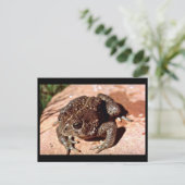Holzkröte Postkarte (Stehend Vorderseite)