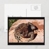 Holzkröte Postkarte (Vorne/Hinten)