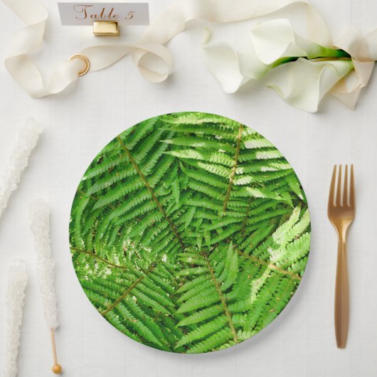 Holzland Ferns Paper Plate Pappteller (Hochzeit)
