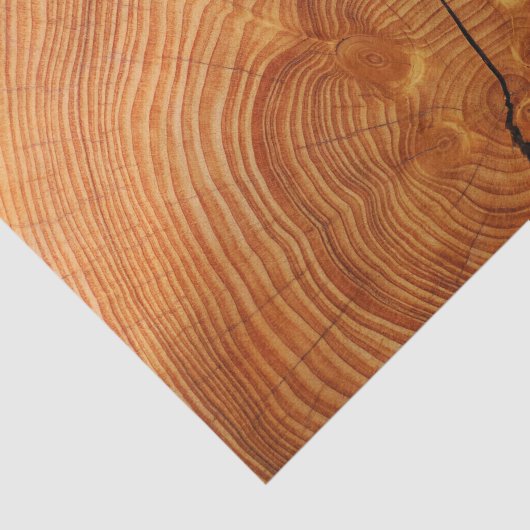 HOLZLOG CUT SEIDENPAPIER (Ausschnitt)