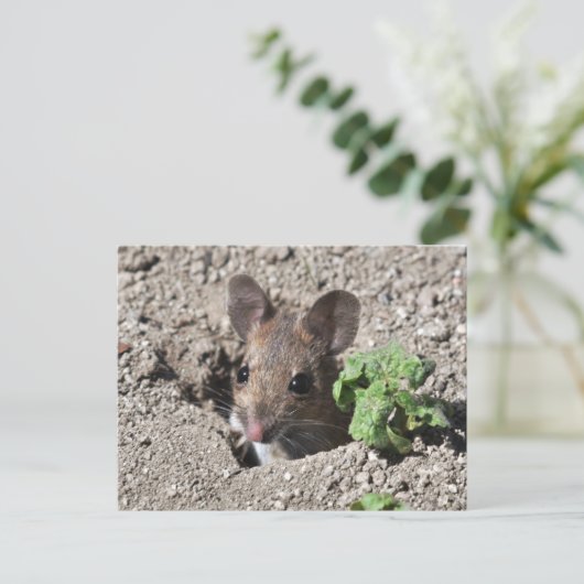 Holzmaus-Postkarte Postkarte (Stehend Vorderseite)