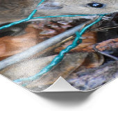 Holzmäuse Fotodruck (Ecke)